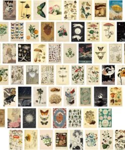 200PCS Vintage Collection Postcard Set Retro Style Botanical Butterfly Postcards